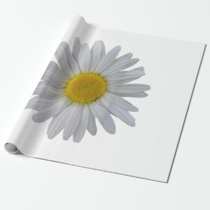 Witte madeliefje bloem, bloeiende madeliefje, bloe cadeaupapier