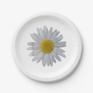 Witte madeliefje bloem, bloeiende madeliefje, bloe papieren bordje