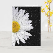 witte madeliefje met regendruppels die je denken kaart (Gele Bloem)