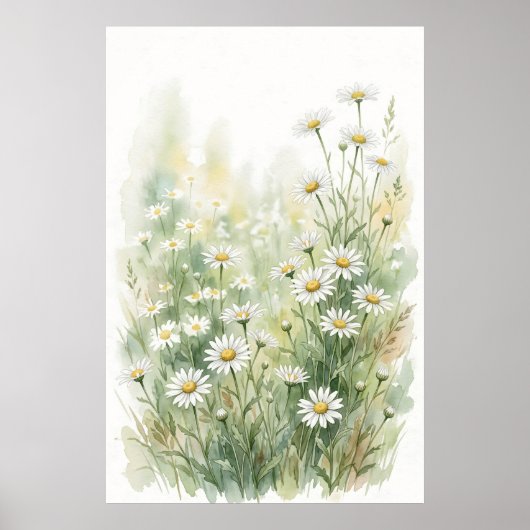 Witte Madeliefje Wildbloem Waterverf Poster (Voorkant)