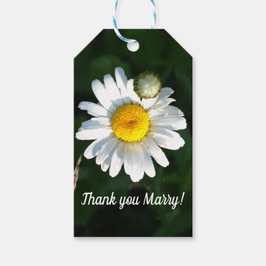 Witte Madeliefjes Aangepaste Gift Tag Cadeaulabel (Voorkant)