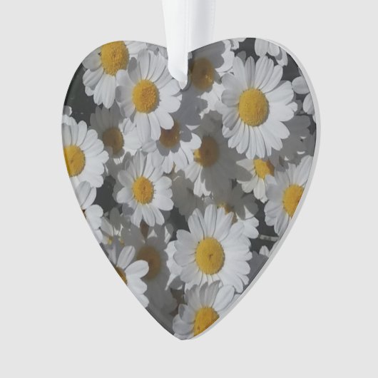 Witte madeliefjes acryl ornament (voorkant)