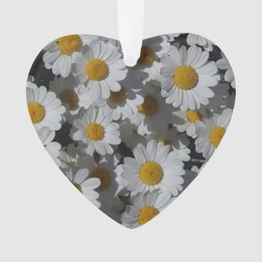 Witte madeliefjes acryl ornament (voorkant)