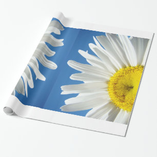 Witte Madeliefjes Bloemen Inpakpapier Blauwe Lucht