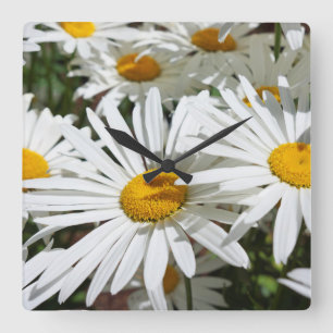 Witte Madeliefjes Bloemen Muurklokken uniek op maa Vierkante Klok