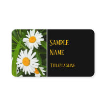 witte madeliefjes bloemen natuur fotografie