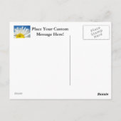 Witte Madeliefjes Bloemen Tuin ansichtkaarten Blau Briefkaart (Achterkant)