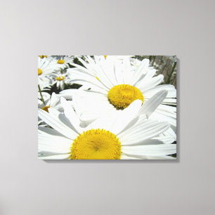 Witte Madeliefjes Bloemen tuin kunst afdrukken Mad