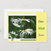 Witte Madeliefjes Collage Op Maat. Beterschap Kaar Briefkaart (Voorkant / Achterkant)