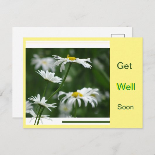 Witte Madeliefjes Collage Op Maat. Beterschap Kaar Briefkaart (Voorkant / Achterkant)