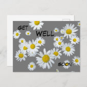 Witte Madeliefjes Klant. Kleur Beterschap Ansichtk Briefkaart (Voorkant / Achterkant)