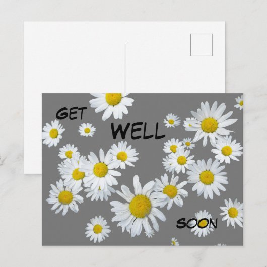 Witte Madeliefjes Klant. Kleur Voorspoedige Herste Briefkaart (Voorkant / Achterkant)