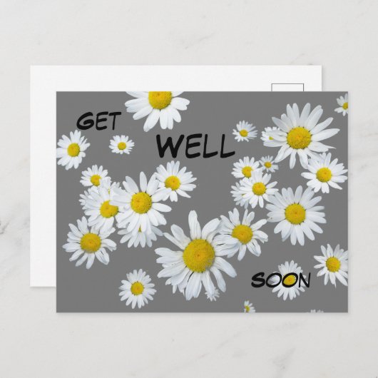 Witte Madeliefjes Klanten Kleur Beterschap Ansicht Briefkaart (Voorkant / Achterkant)