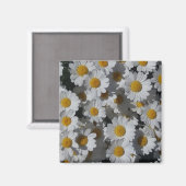 Witte madeliefjes magneet (Voorkant / Achterkant)