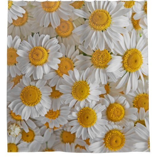 Witte madeliefjes: mooie bloemige achtergrond douchegordijn (Voorkant)