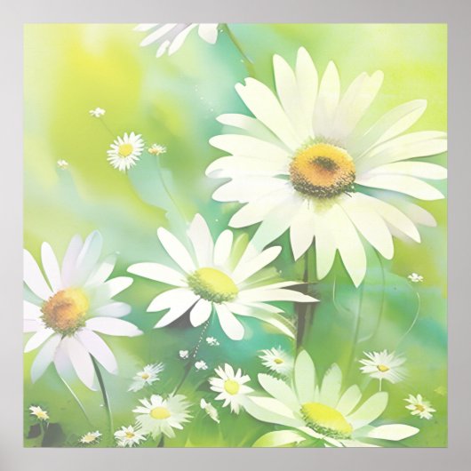 Witte Madeliefjes Poster (Voorkant)