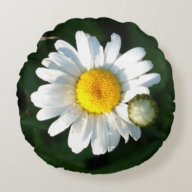 Witte madeliefjes Worp Kussen (Voorkant)