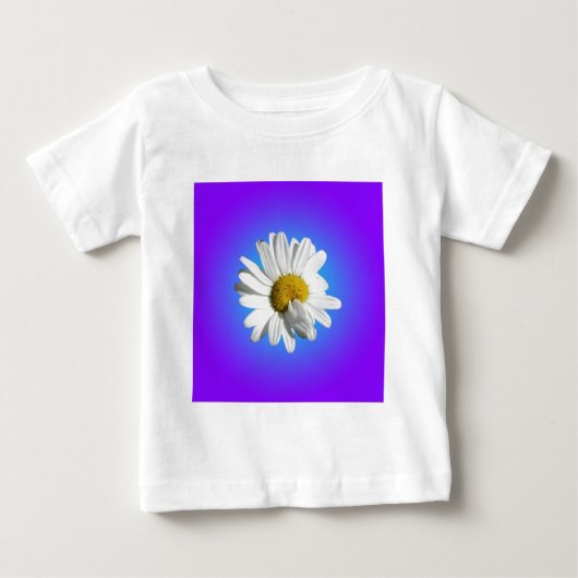 Witte Madeliefjesbloem Bloemig Paars Blauw Verloop (Voorkant)