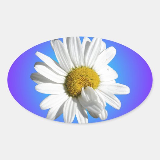 Witte Madeliefjesbloem Bloemig Paarsblauw Verloop Ovale Sticker (Voorkant)