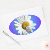 Witte Madeliefjesbloem Bloemig Paarsblauw Verloop Ovale Sticker (Envelop)