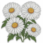 Witte Madeliefjescluster Sticker (Voorkant)