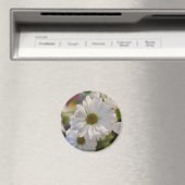 Witte Madeliefjesmagneet Magneet (Insitu (Vaatwasser))