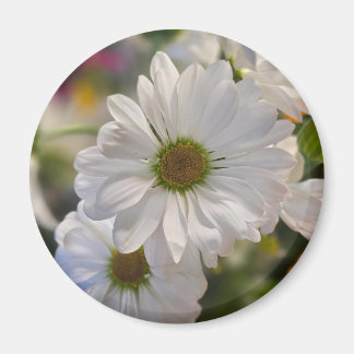 Witte Madeliefjesmagneet Magneet