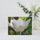 Witte Magnolia bloei Briefkaart (Staand voorkant)