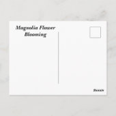 Witte Magnolia bloei Briefkaart (Achterkant)