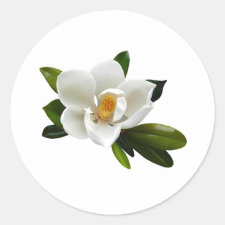 witte magnolia bloei ronde sticker