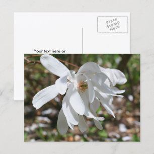 Witte Magnolia Bloem Persoonlijk Briefkaart