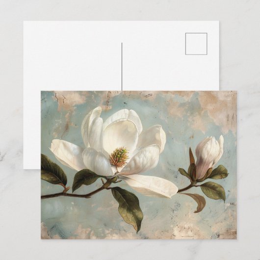 Witte Magnolia Bloemen  Briefkaart (Voorkant / Achterkant)