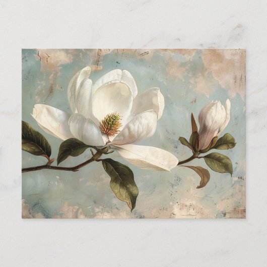 Witte Magnolia Bloemen  Briefkaart (Voorkant)