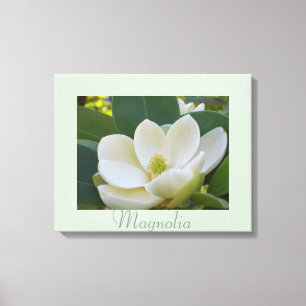 Witte Magnolia Bloemen Kunst Natuur Fotografie Canvas Afdruk