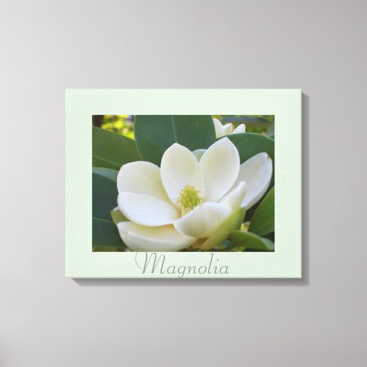 Witte Magnolia Bloemen Kunst Natuur Fotografie Canvas Afdruk (Voorkant)