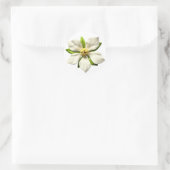 Witte Magnolia Bloesem Bloem Lente Bruiloft Ronde Sticker (Tas)