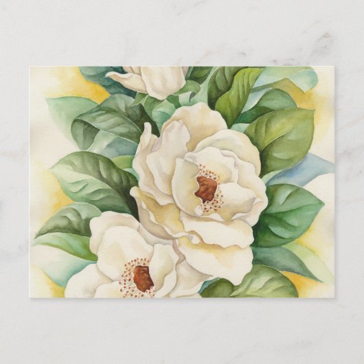 Witte Magnolia Bloesem Bloemen Kunst Briefkaart (Voorkant)