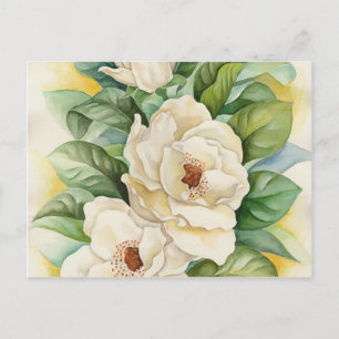 Witte Magnolia Bloesem Bloemen Kunst Vintage Briefkaart