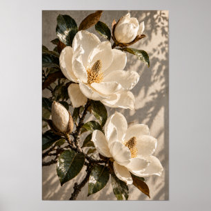 Witte Magnolia Bloesems in Warm Natuurlijk Licht M Poster