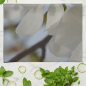 Witte Magnolia Blooming in de lente Theedoek (Gevouwen)