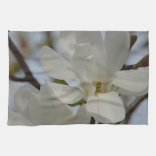 Witte Magnolia Blooming in de lente Theedoek