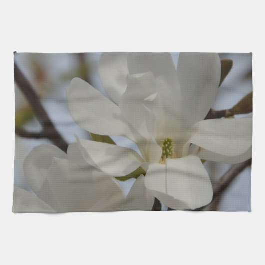 Witte Magnolia Blooming in de lente Theedoek (Horizontaal)