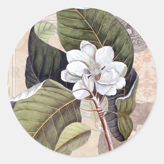 Witte Magnolia Blossom  Botanisch Ronde Sticker (Voorkant)
