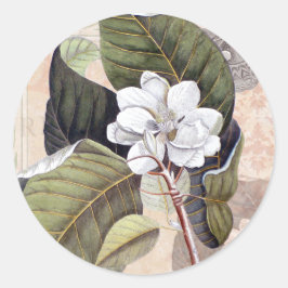 Witte Magnolia Blossom Botanisch Ronde Sticker