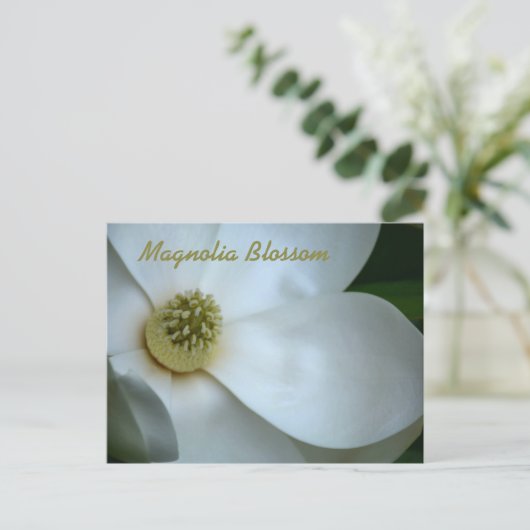 Witte Magnolia Blossom Fotografisch Briefkaart (Staand voorkant)