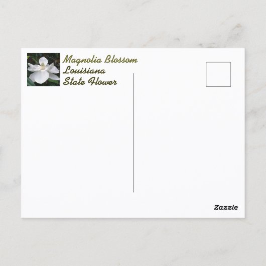 Witte Magnolia Blossom Fotografisch Briefkaart (Achterkant)