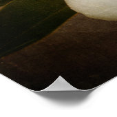  witte magnolia Boom Vloerbruin perkament Poster (Hoek)