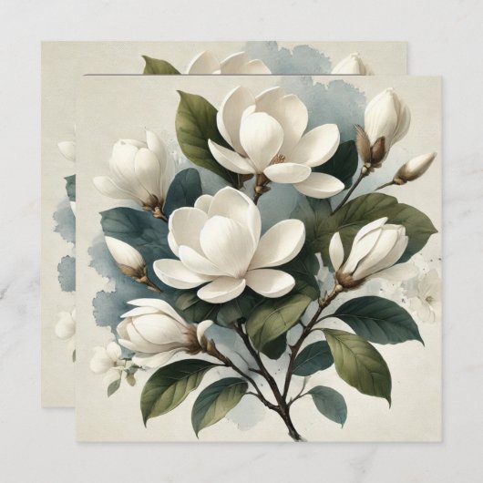  Witte Magnolia Botanisch (Voorkant / Achterkant)