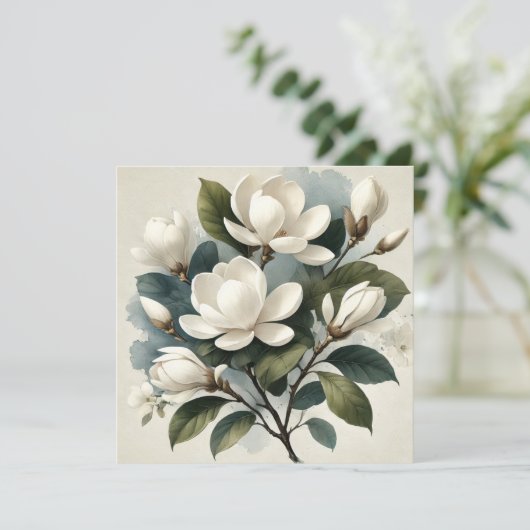  Witte Magnolia Botanisch (Staand voorkant)