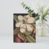  witte Magnolia Botanische illustratie Briefkaart (Staand voorkant)